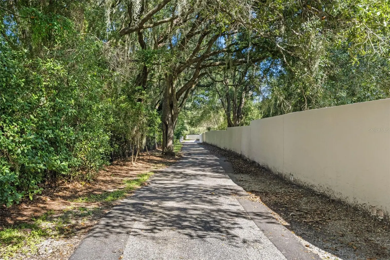 6029 HAMMOCK HILL AVENUE, LITHIA, FL, photo 56 of 67