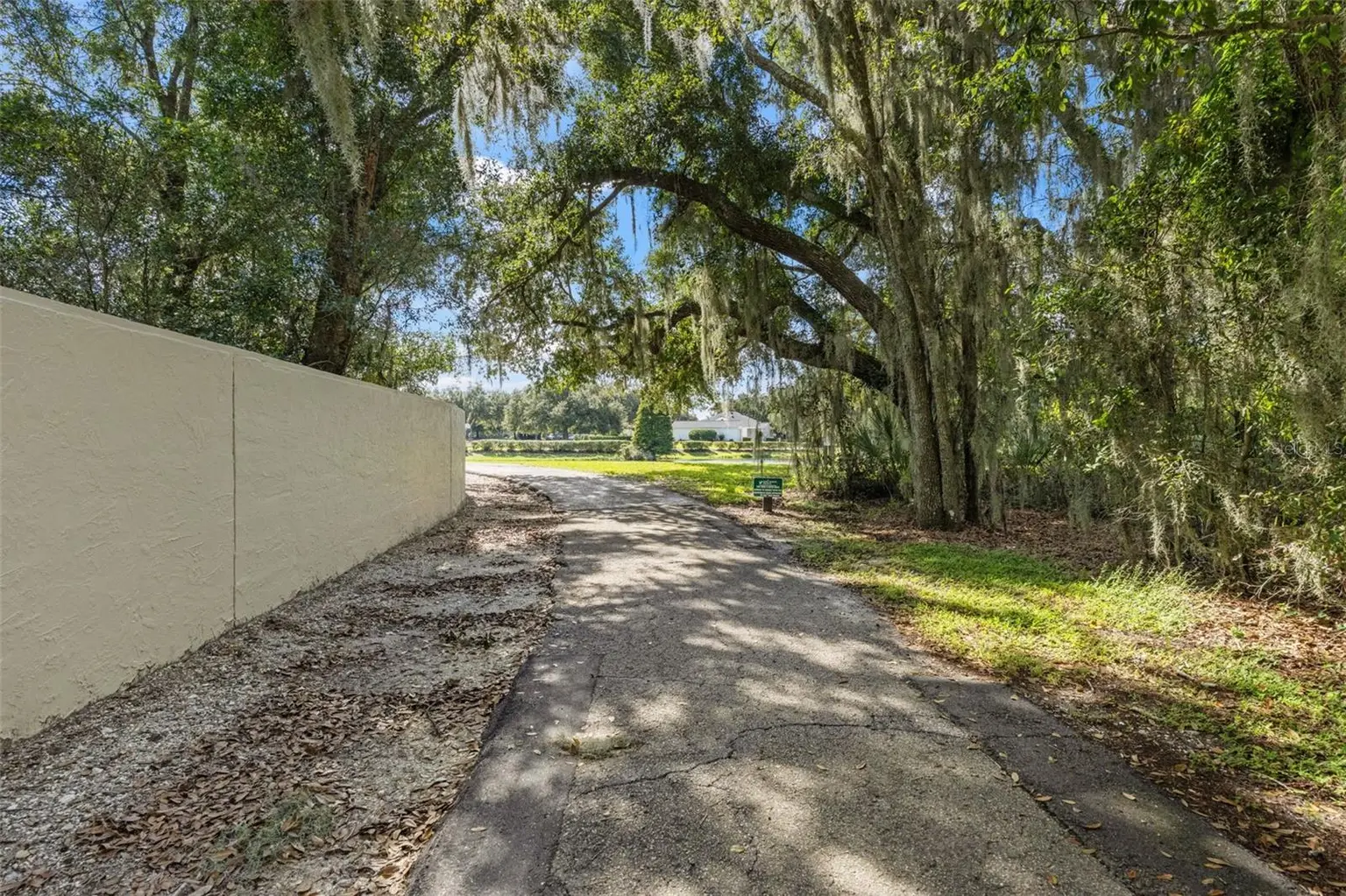 6029 HAMMOCK HILL AVENUE, LITHIA, FL, photo 57 of 67