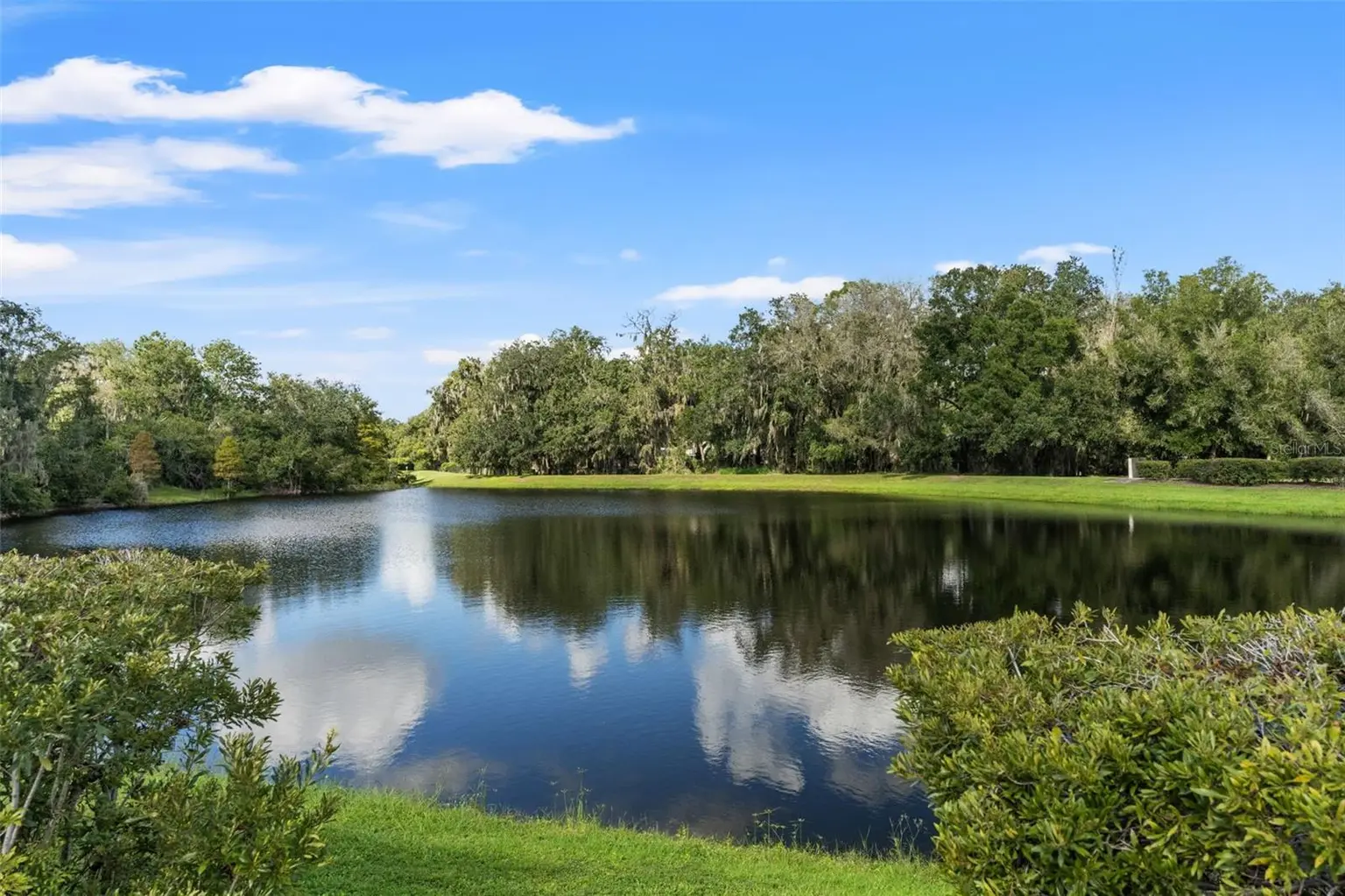 6029 HAMMOCK HILL AVENUE, LITHIA, FL, photo 59 of 67