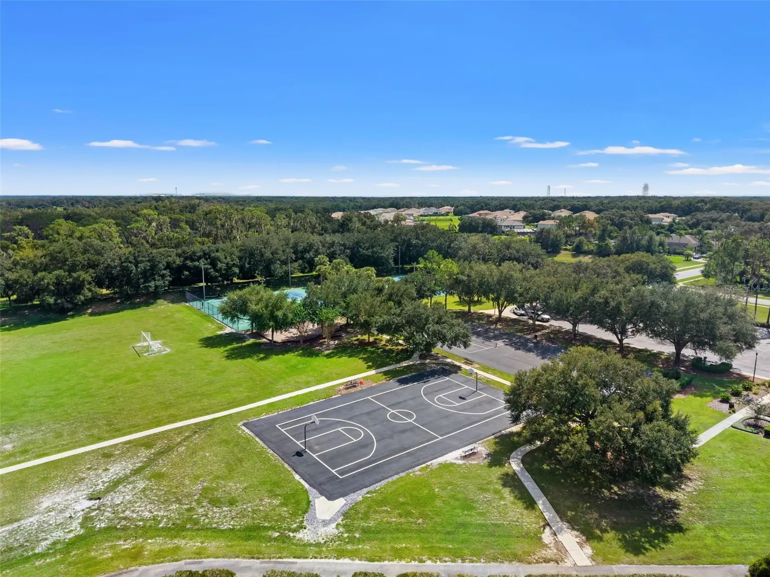 6029 HAMMOCK HILL AVENUE, LITHIA, FL, photo 60 of 67