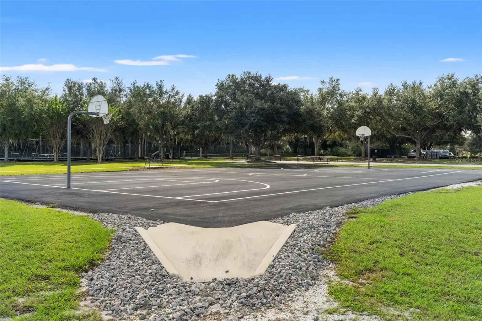 6029 HAMMOCK HILL AVENUE, LITHIA, FL, photo 61 of 67