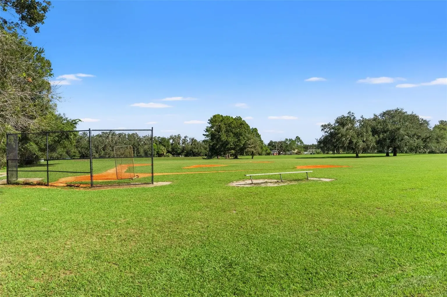 6029 HAMMOCK HILL AVENUE, LITHIA, FL, photo 62 of 67