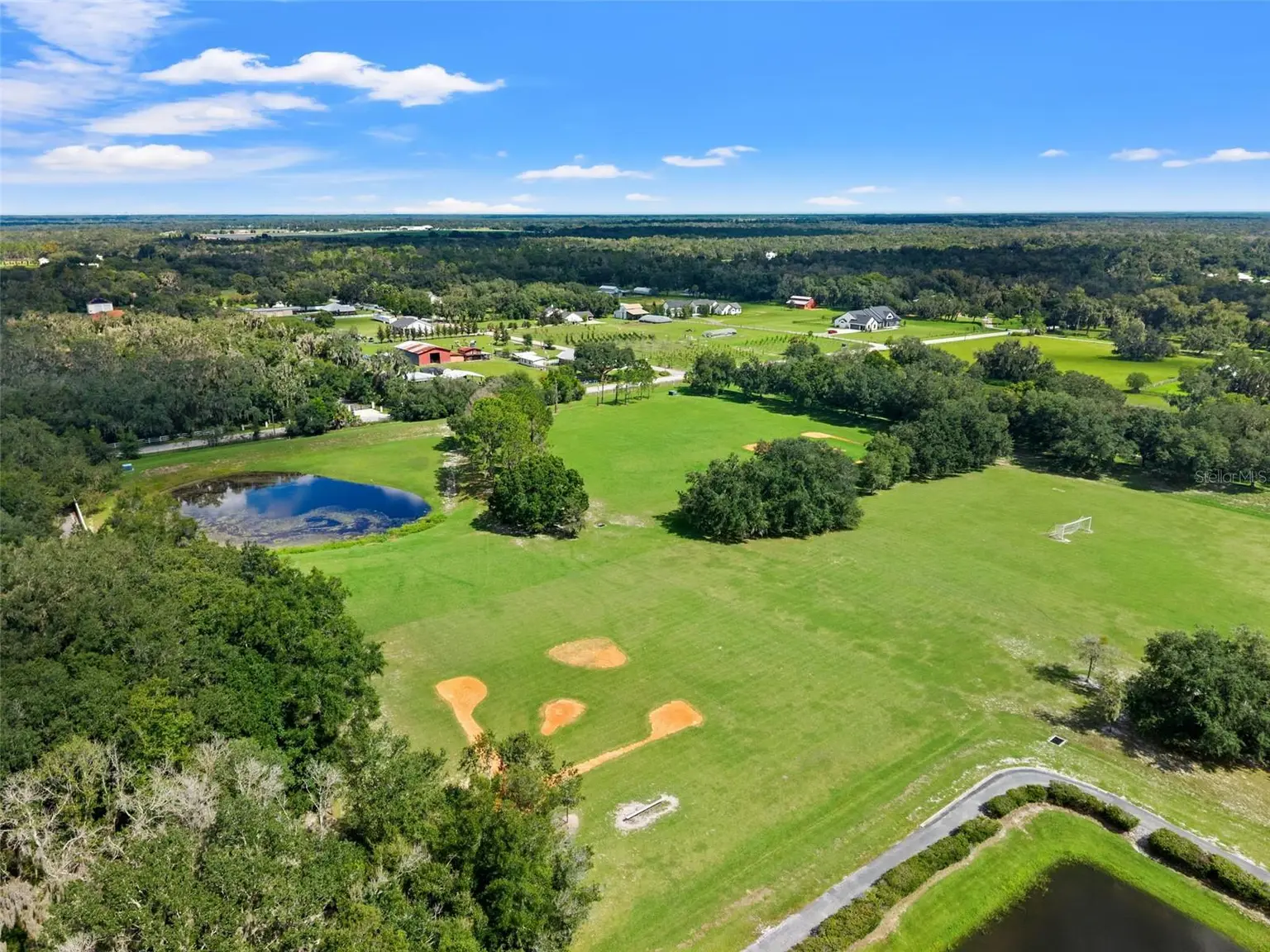 6029 HAMMOCK HILL AVENUE, LITHIA, FL, photo 63 of 67