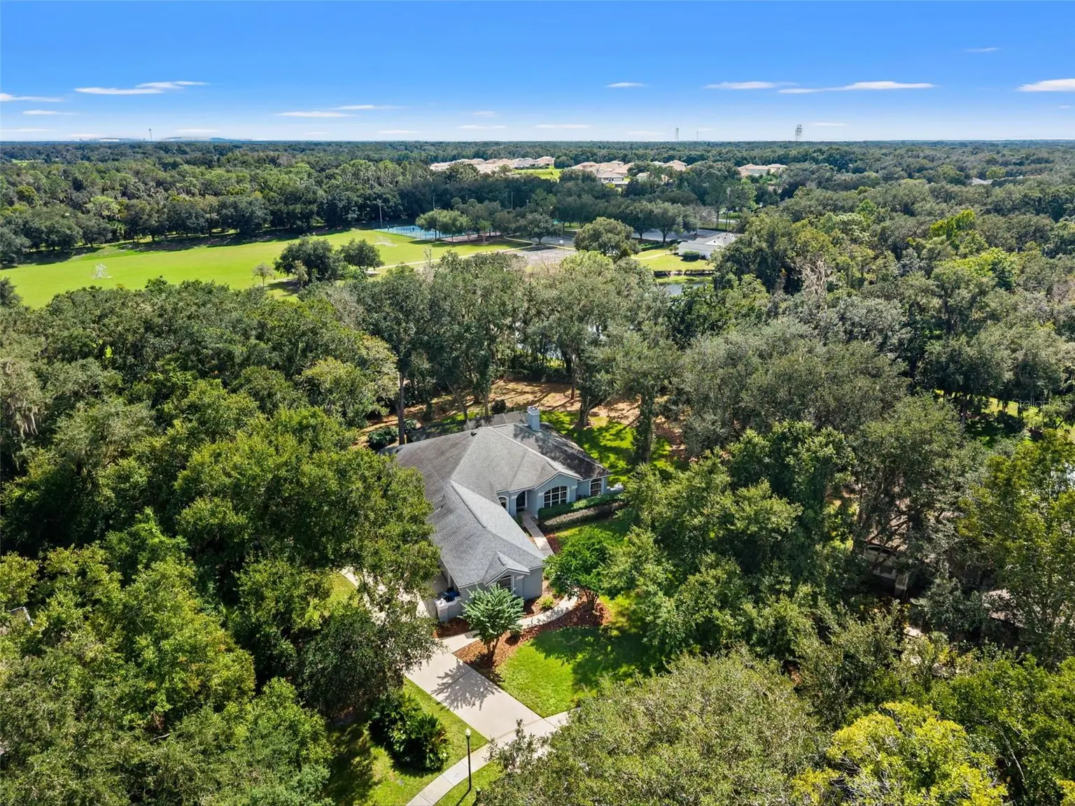 6029 HAMMOCK HILL AVENUE, LITHIA, FL, photo 65 of 67
