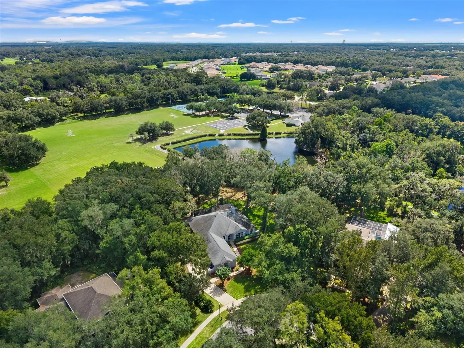 6029 HAMMOCK HILL AVENUE, LITHIA, FL, photo 66 of 67