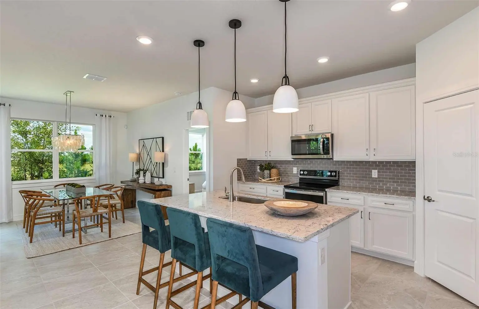 11131 SYCAMORE GLEN LOOP, THONOTOSASSA, FL, photo 4 of 15