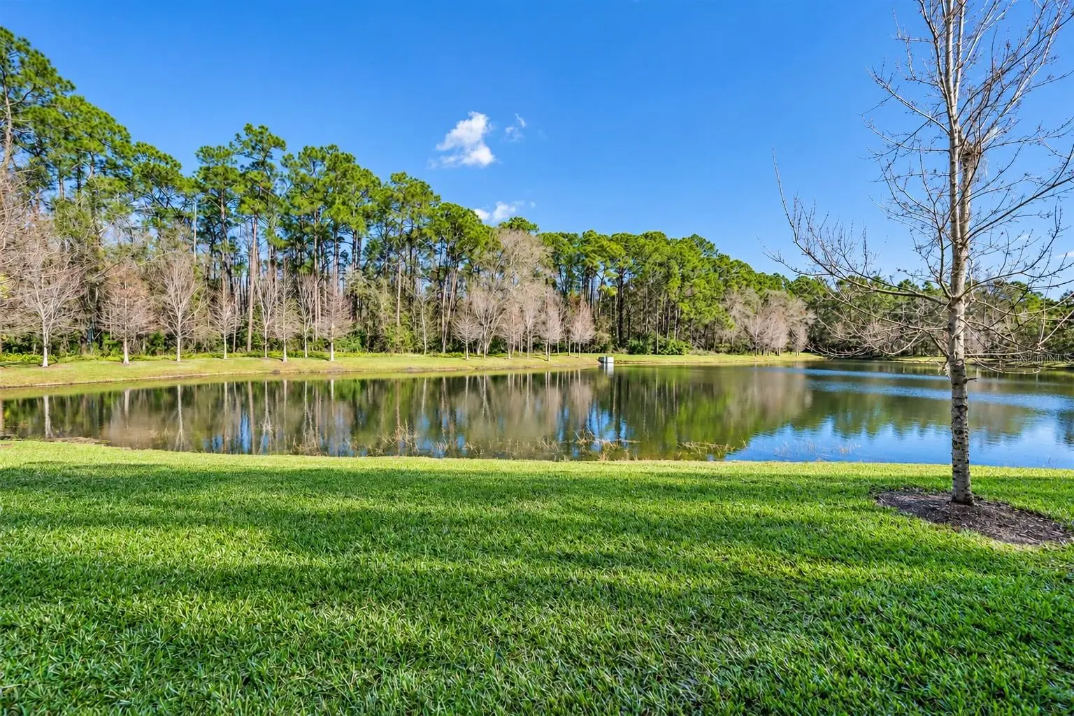 5527 CUMBERLAND STAR COURT, LUTZ, FL, photo 14 of 16
