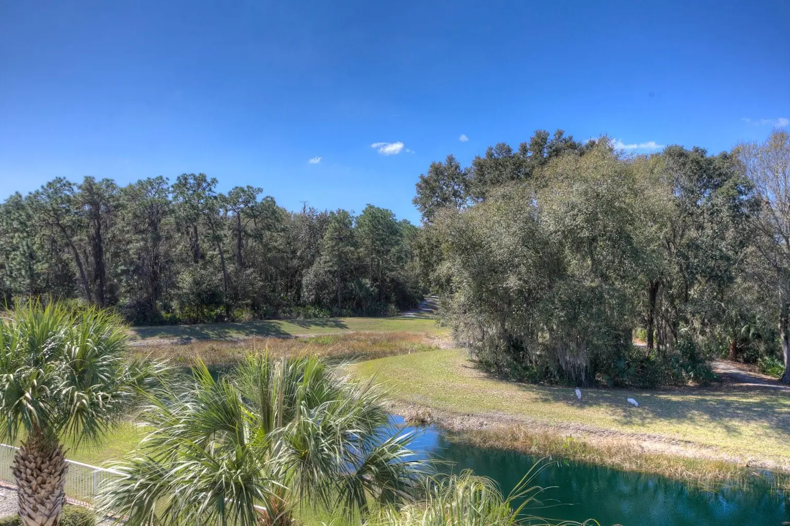 19221 ROBIN PERCH LANE, TAMPA, FL, photo 87 of 91