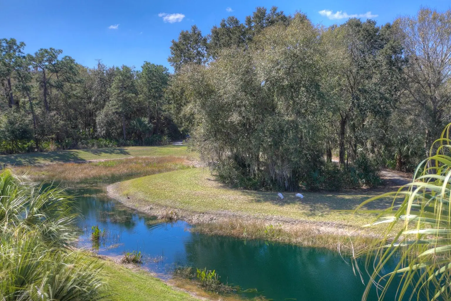19221 ROBIN PERCH LANE, TAMPA, FL, photo 88 of 91