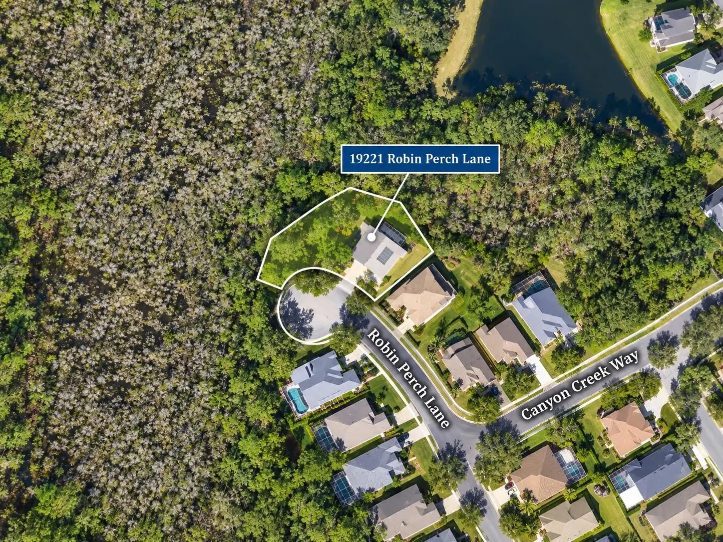 19221 ROBIN PERCH LANE, TAMPA, FL, photo 2 of 91
