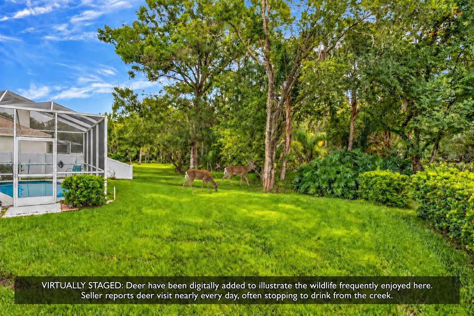 15709 MUIRFIELD DRIVE, ODESSA, FL, photo 18 of 77