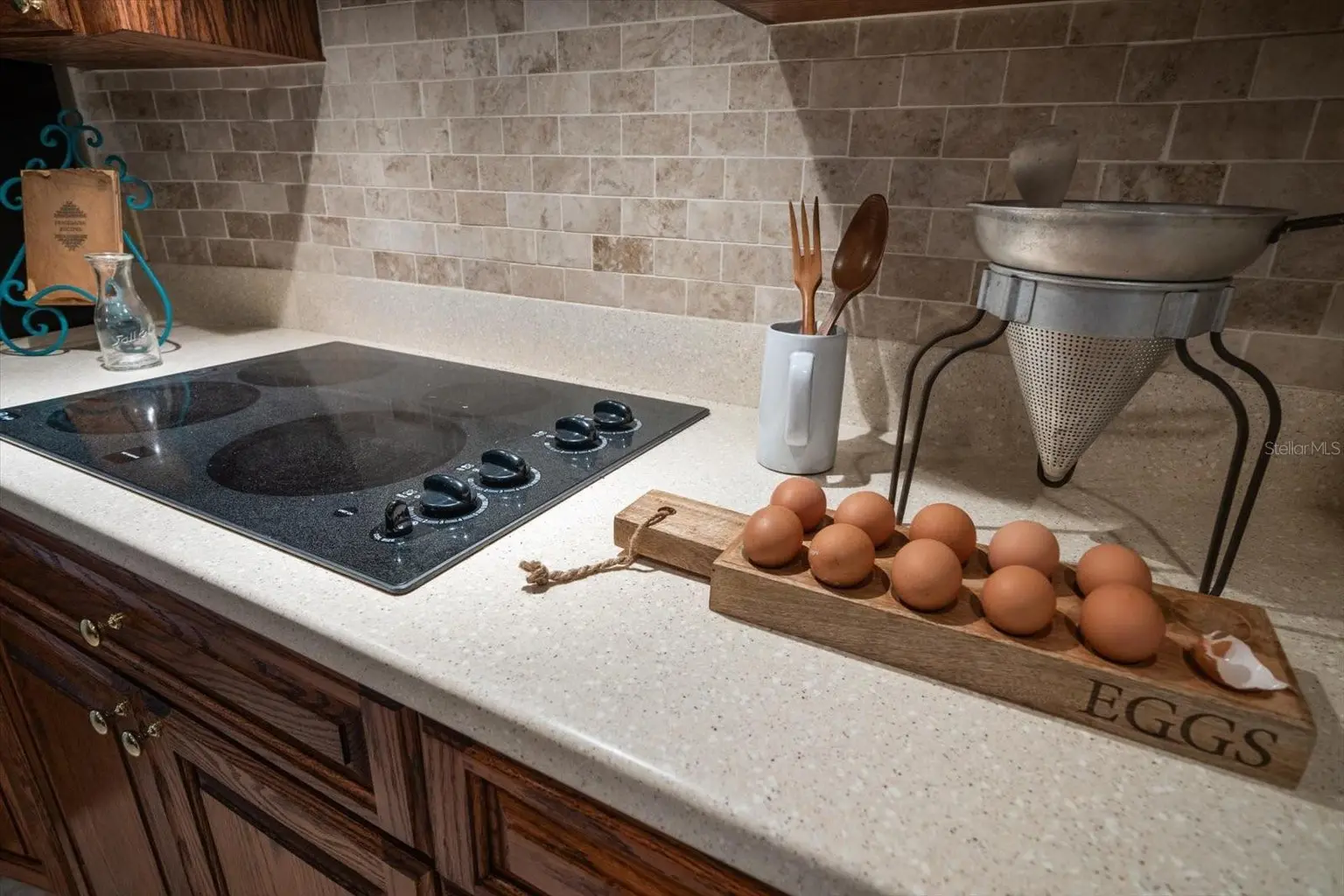 1105 DEER RUN PLACE, VALRICO, FL, photo 36 of 52
