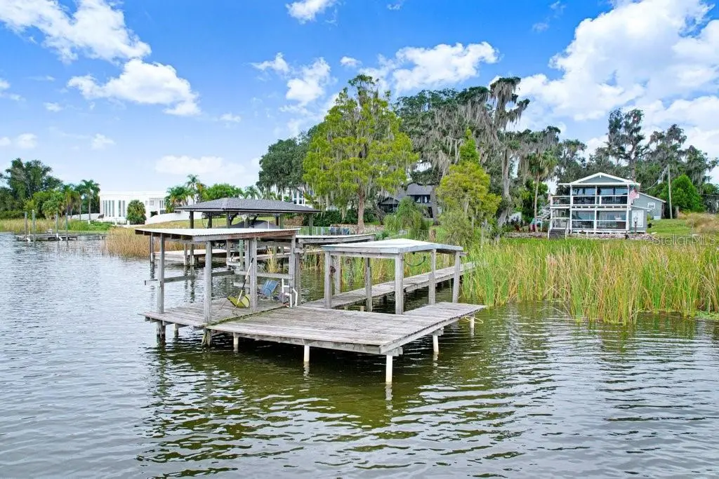 11337 KNIGHTS GRIFFIN ROAD, THONOTOSASSA, FL, photo 14 of 91