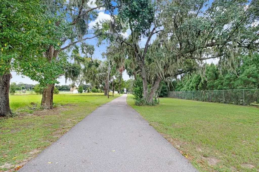 11337 KNIGHTS GRIFFIN ROAD, THONOTOSASSA, FL, photo 61 of 91