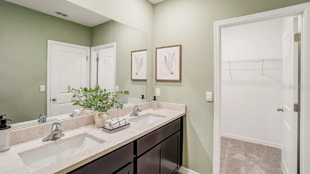 31197 PAPER BIRCH STREET, WESLEY CHAPEL, FL, photo 12 of 15
