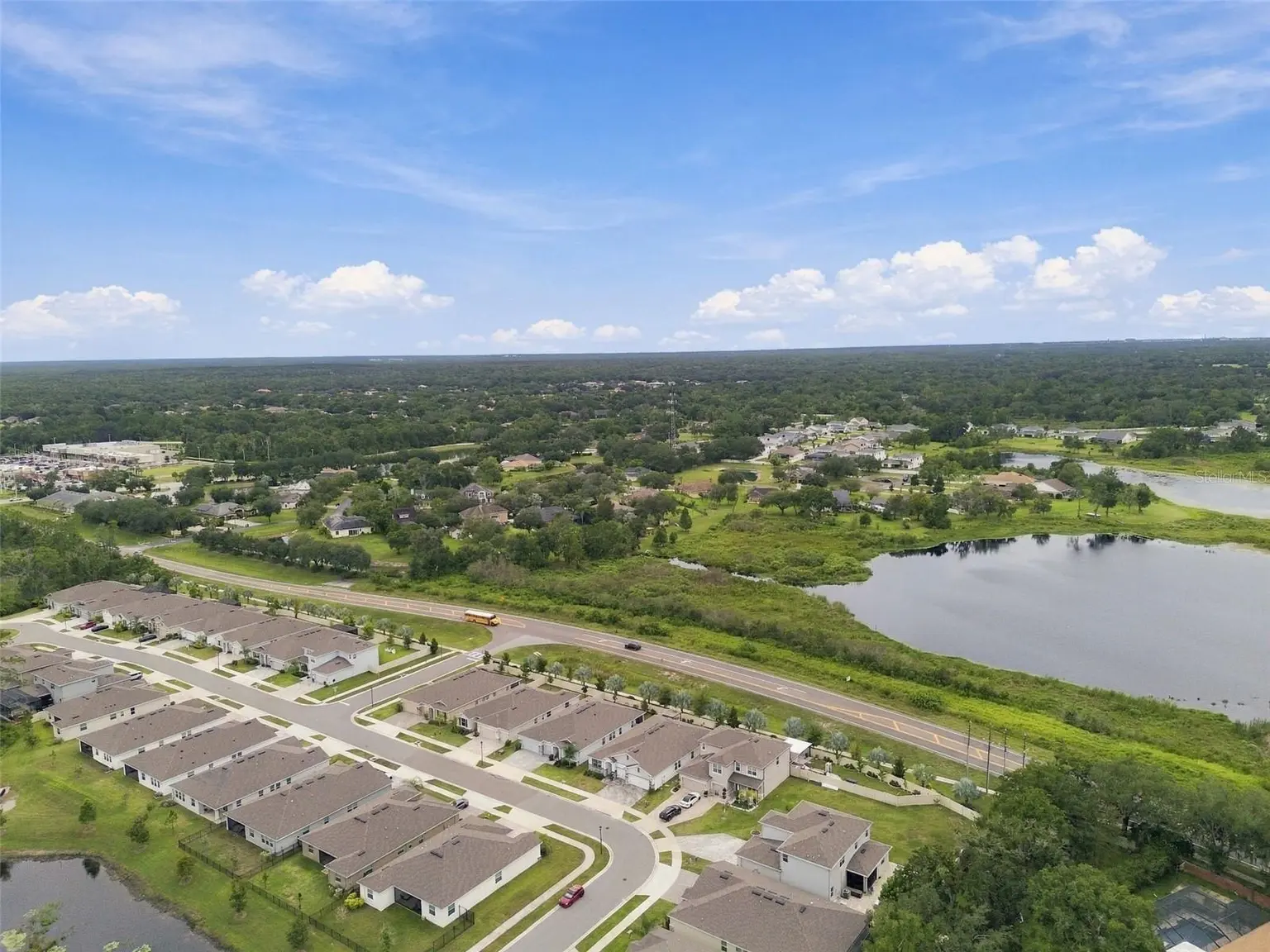 23182 SCAGLIONE DRIVE, LUTZ, FL, photo 75 of 92