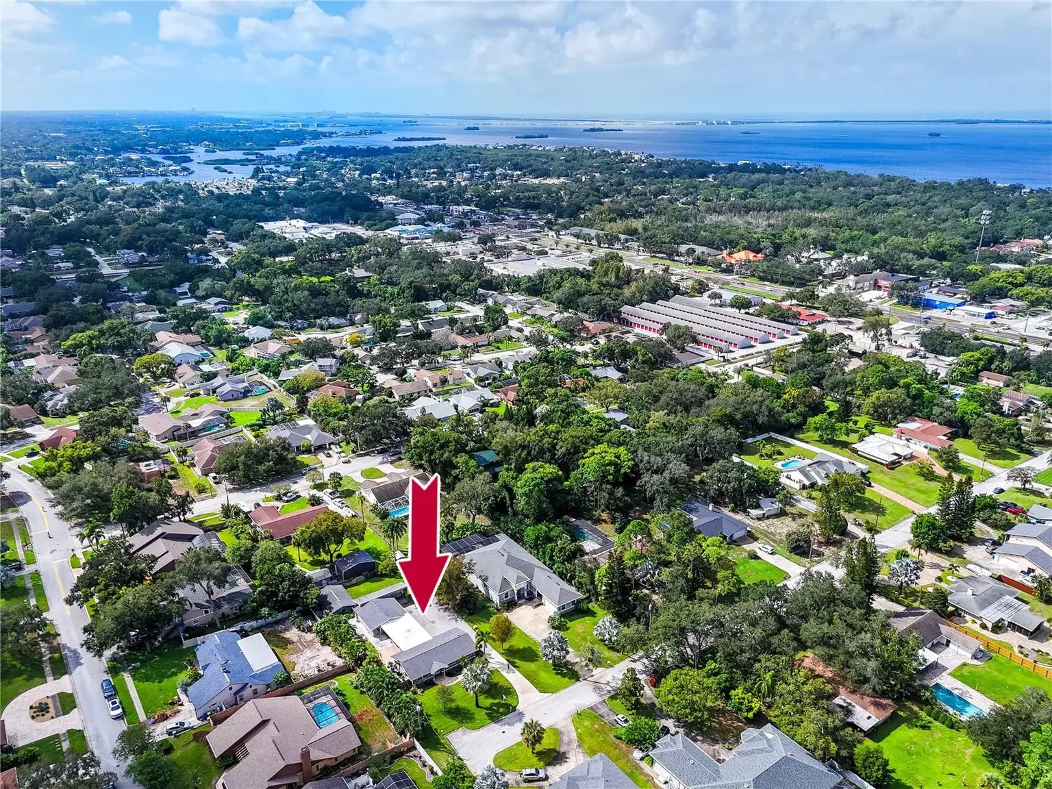 902 ROBIN AVENUE, PALM HARBOR, FL, photo 59 of 62