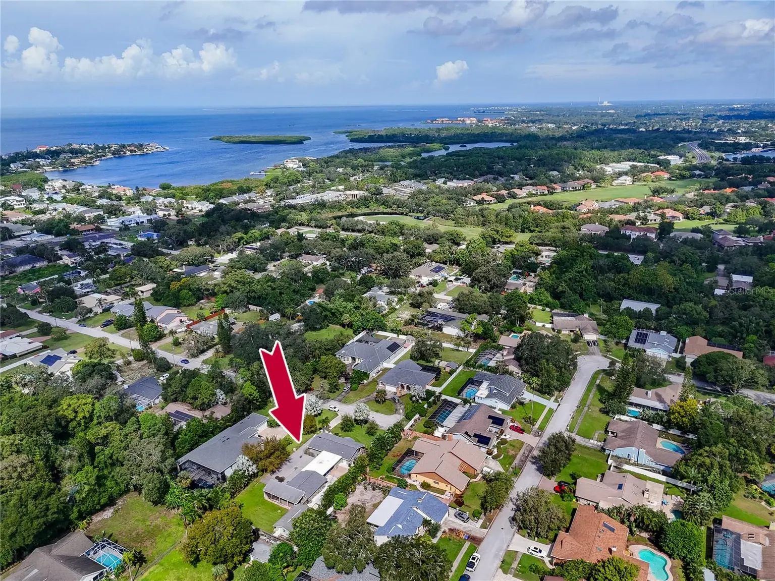 902 ROBIN AVENUE, PALM HARBOR, FL, photo 61 of 62