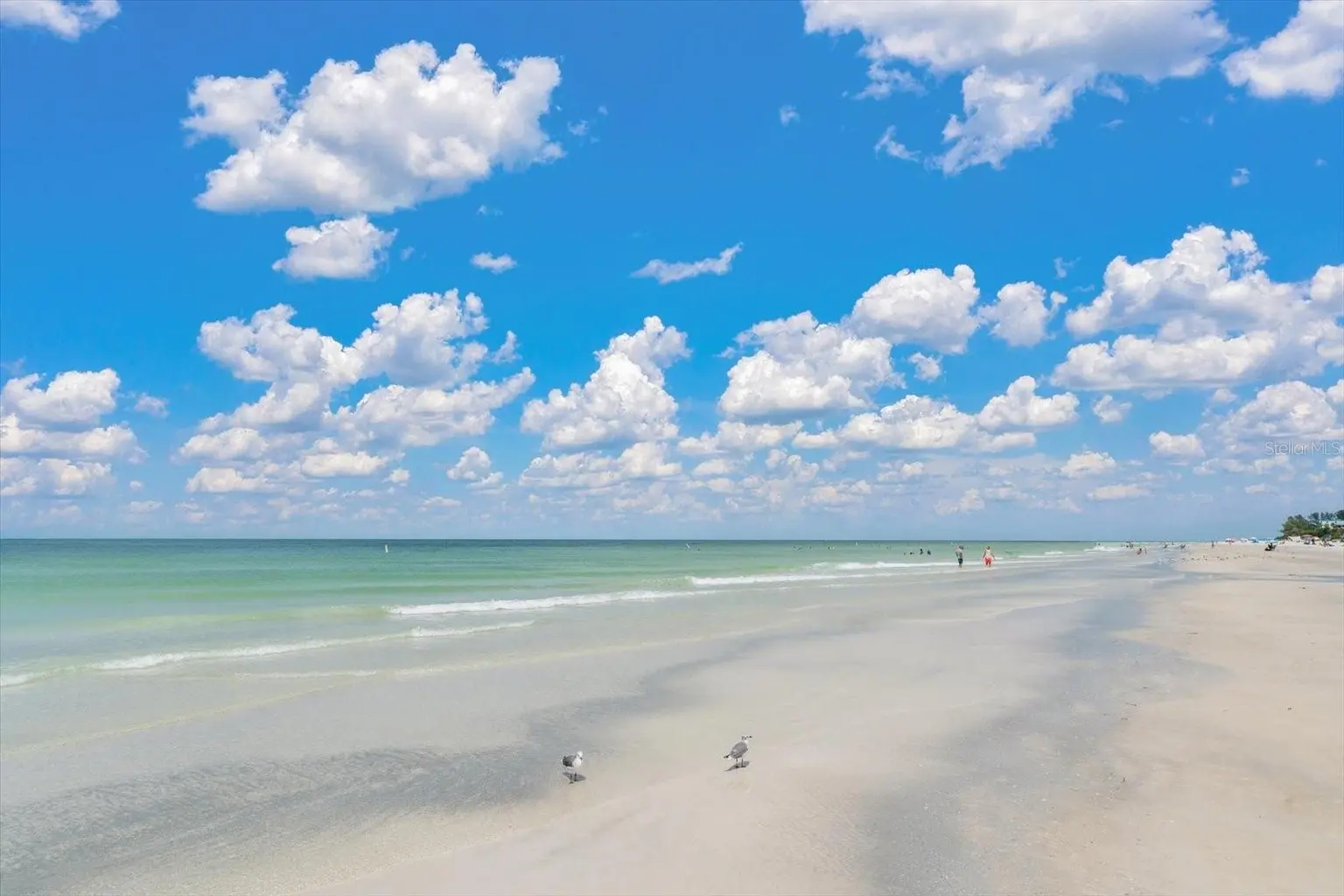 1512 GULF BOULEVARD, INDIAN ROCKS BEACH, FL, photo 57 of 80