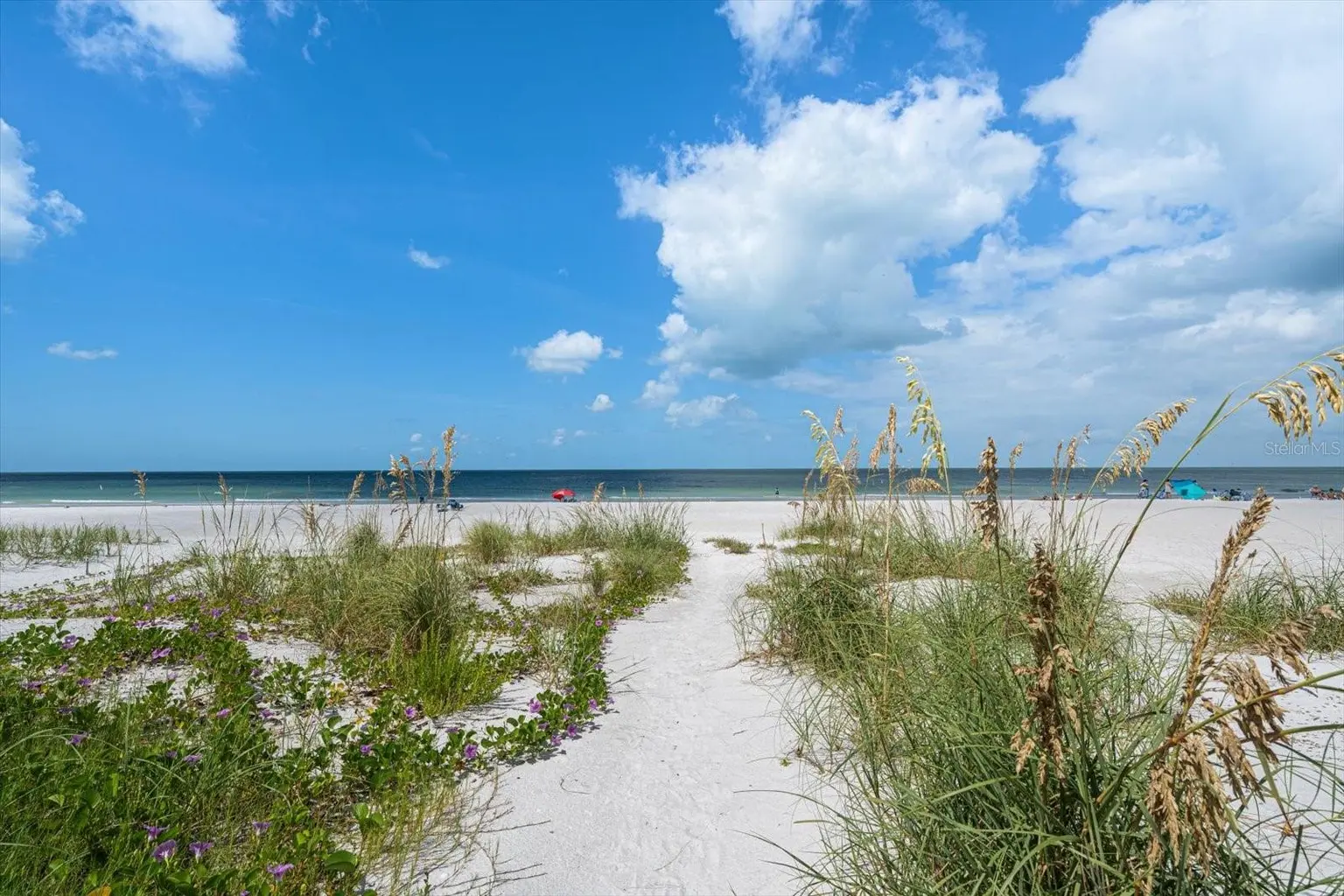 1512 GULF BOULEVARD, INDIAN ROCKS BEACH, FL, photo 58 of 80