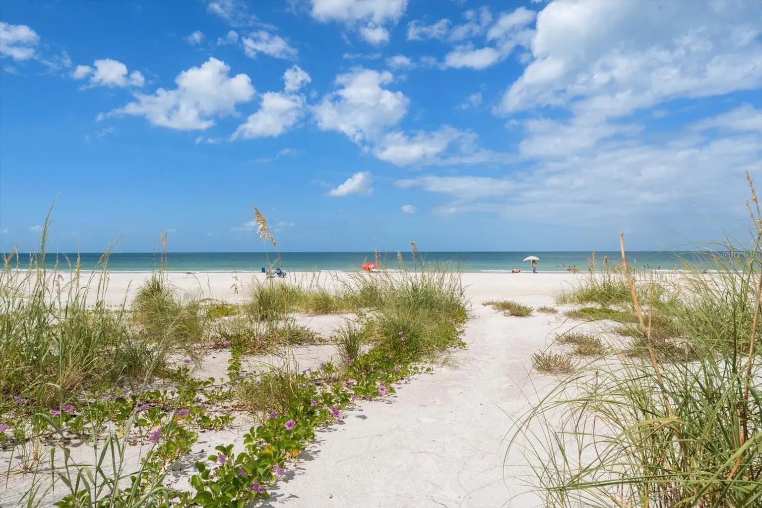1512 GULF BOULEVARD, INDIAN ROCKS BEACH, FL, photo 80 of 80