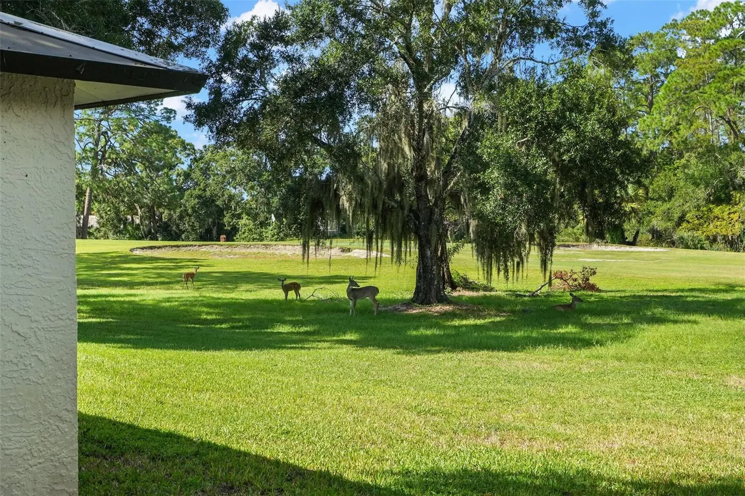 3505 TARPON WOODS BOULEVARD #K406, PALM HARBOR, FL, photo 19 of 34