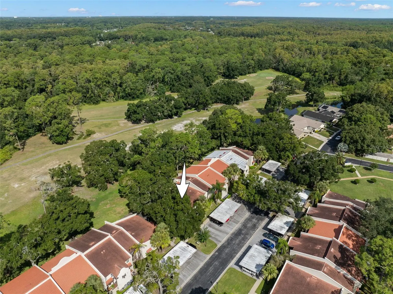 3505 TARPON WOODS BOULEVARD #K406, PALM HARBOR, FL, photo 30 of 34
