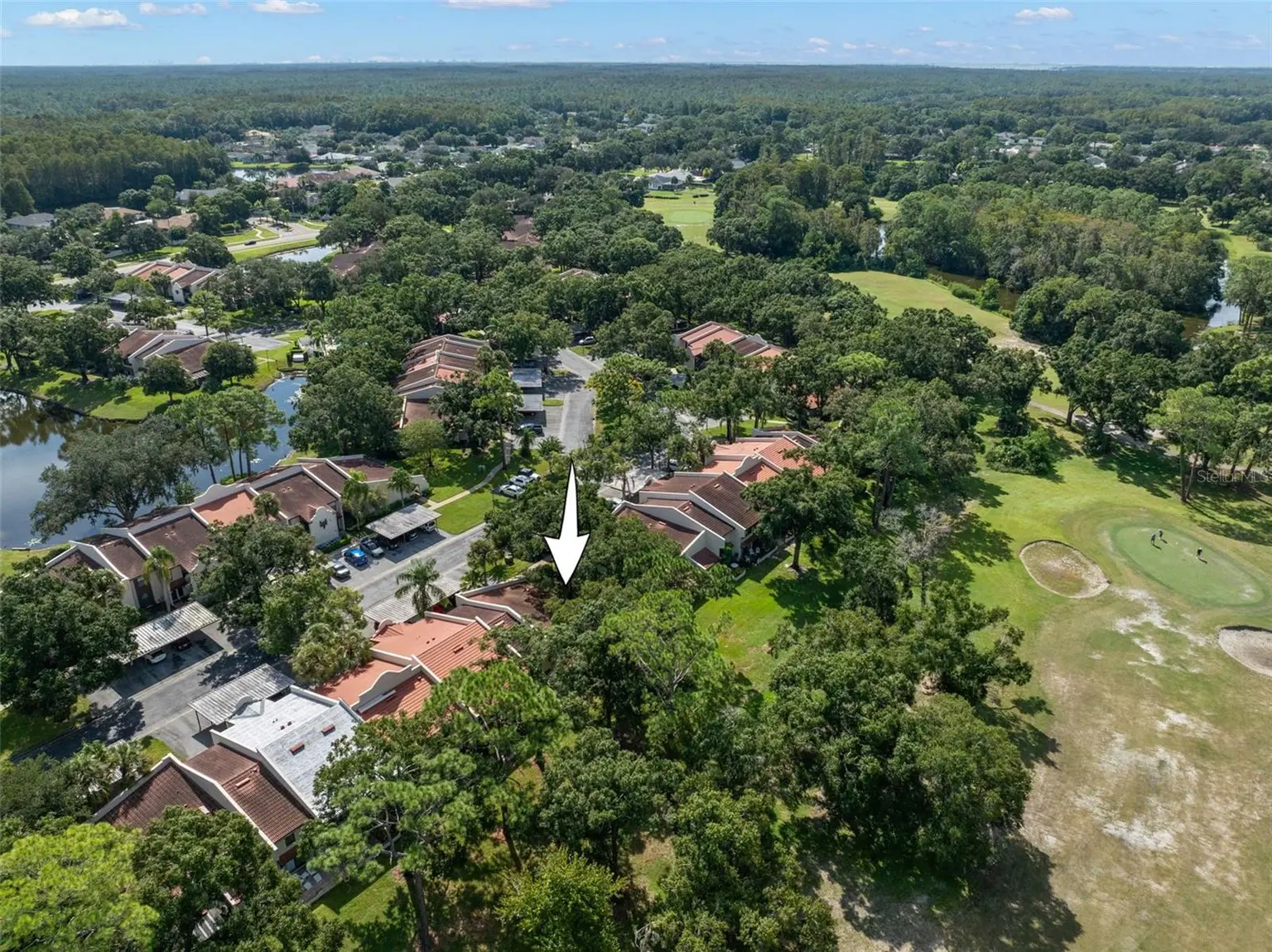 3505 TARPON WOODS BOULEVARD #K406, PALM HARBOR, FL, photo 31 of 34