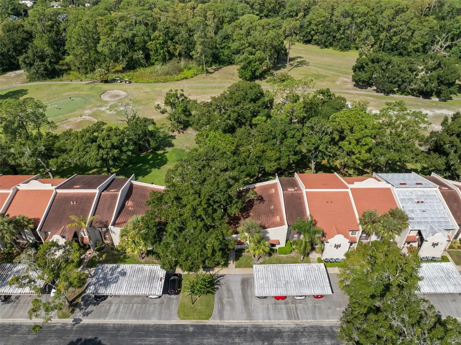 3505 TARPON WOODS BOULEVARD #K406, PALM HARBOR, FL, photo 32 of 34