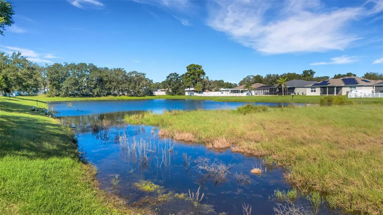 11126 GOLDENROD FERN DRIVE, RIVERVIEW, FL, photo 45 of 53