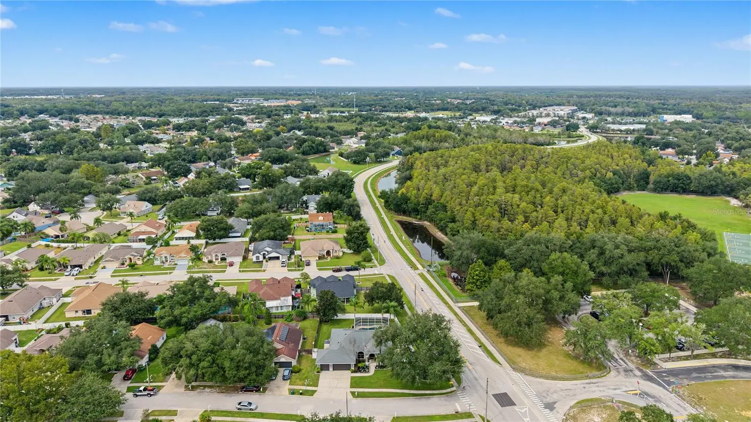24415 ROLLING VIEW COURT, LUTZ, FL, photo 48 of 50