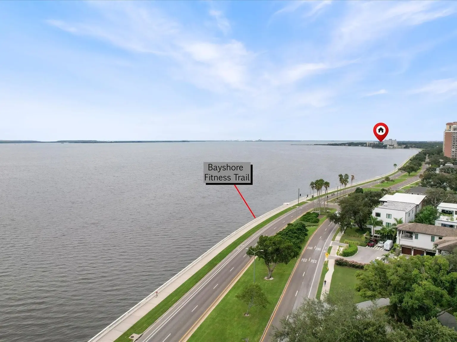 4950 BAYSHORE BOULEVARD #28, TAMPA, FL, photo 4 of 49