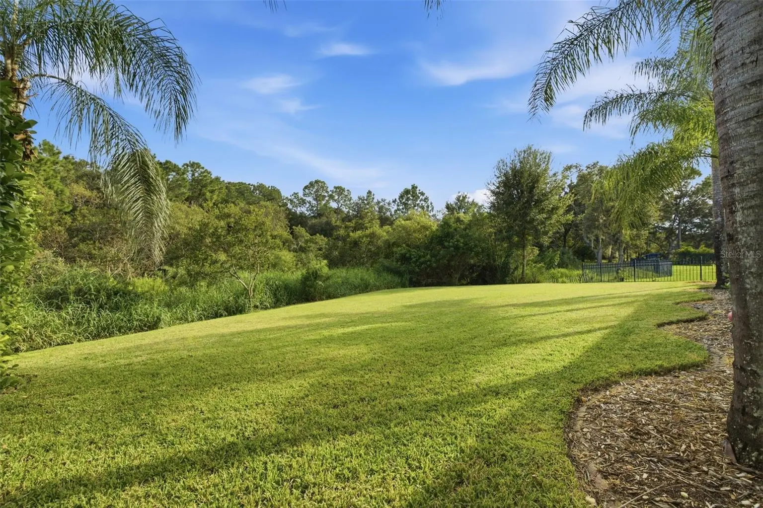 14637 CANOPY DRIVE, TAMPA, FL, photo 41 of 53