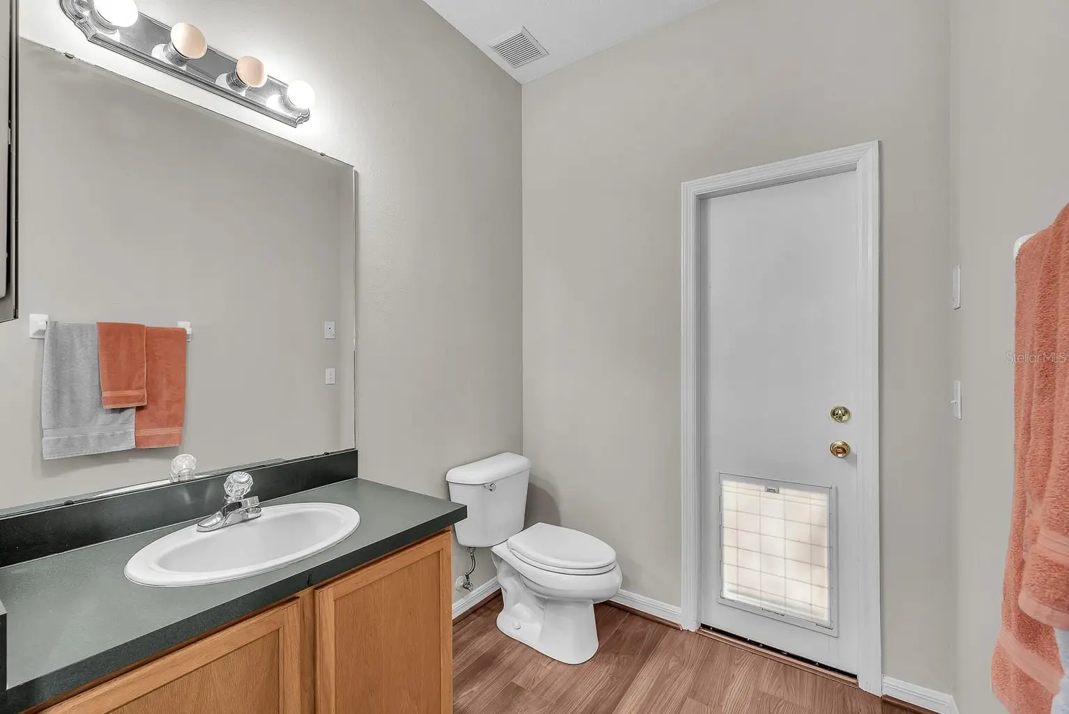 16306 DORMAN ROAD, LITHIA, FL, photo 21 of 54