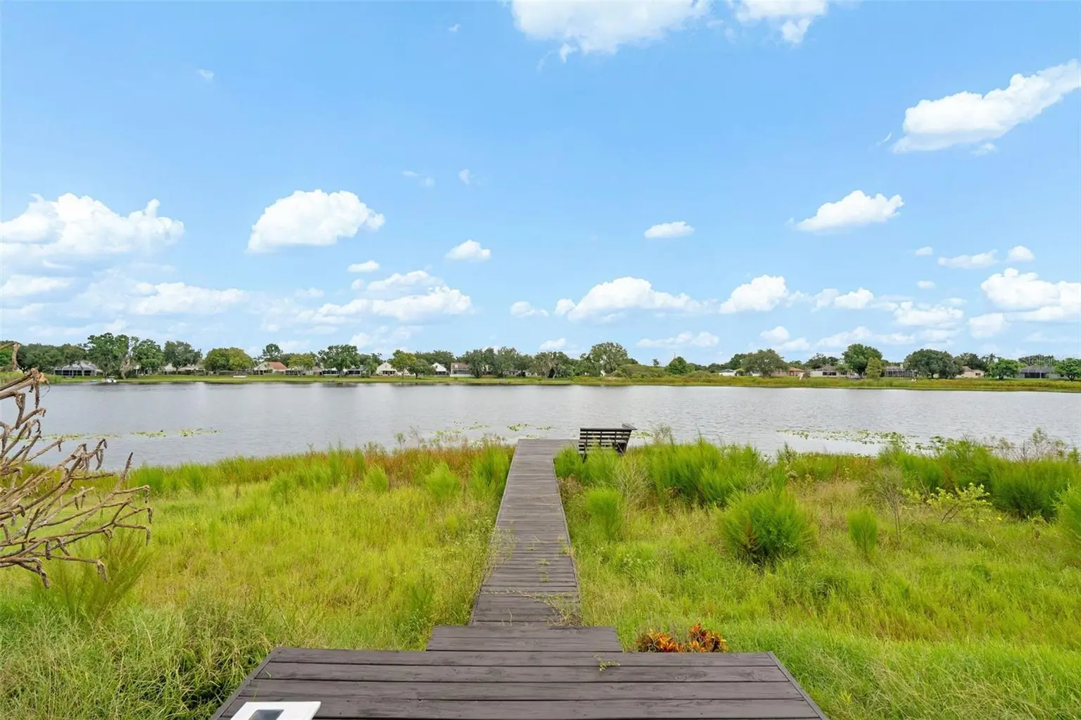 1813 AUDUBON TRAIL, LUTZ, FL, photo 41 of 48