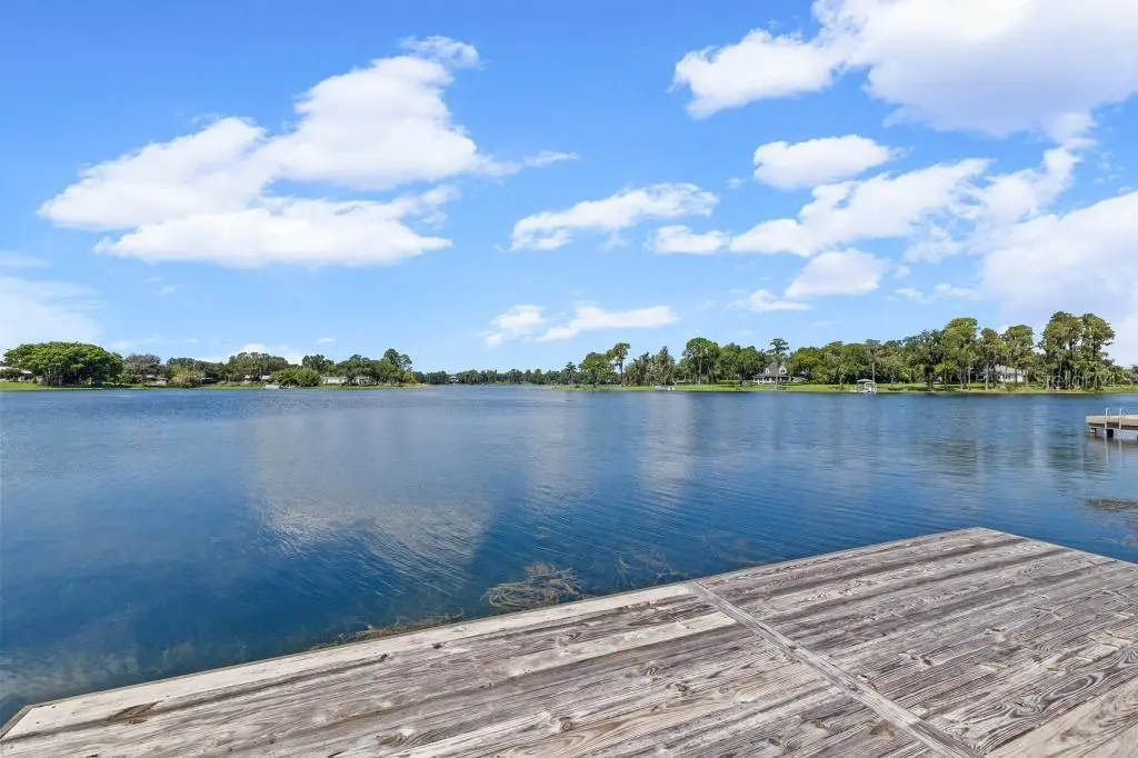 16268 GATOR HOLE ROAD, ODESSA, FL, photo 48 of 75