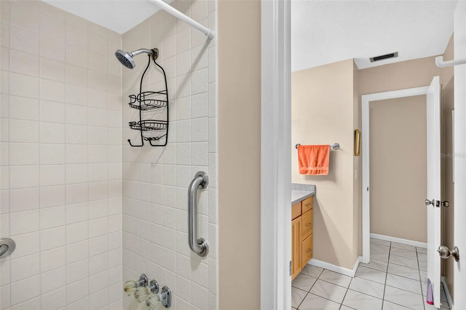 7220 WOODBROOK DRIVE, TAMPA, FL, photo 19 of 30