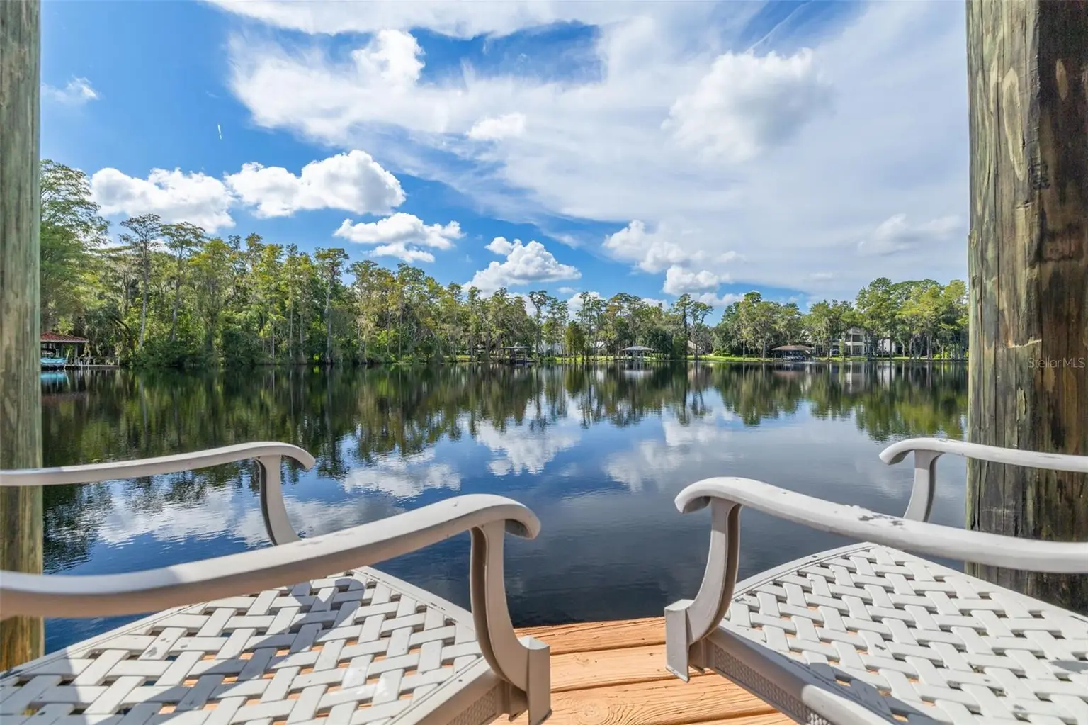 16203 SENTRY WOODS COURT, ODESSA, FL, photo 37 of 90