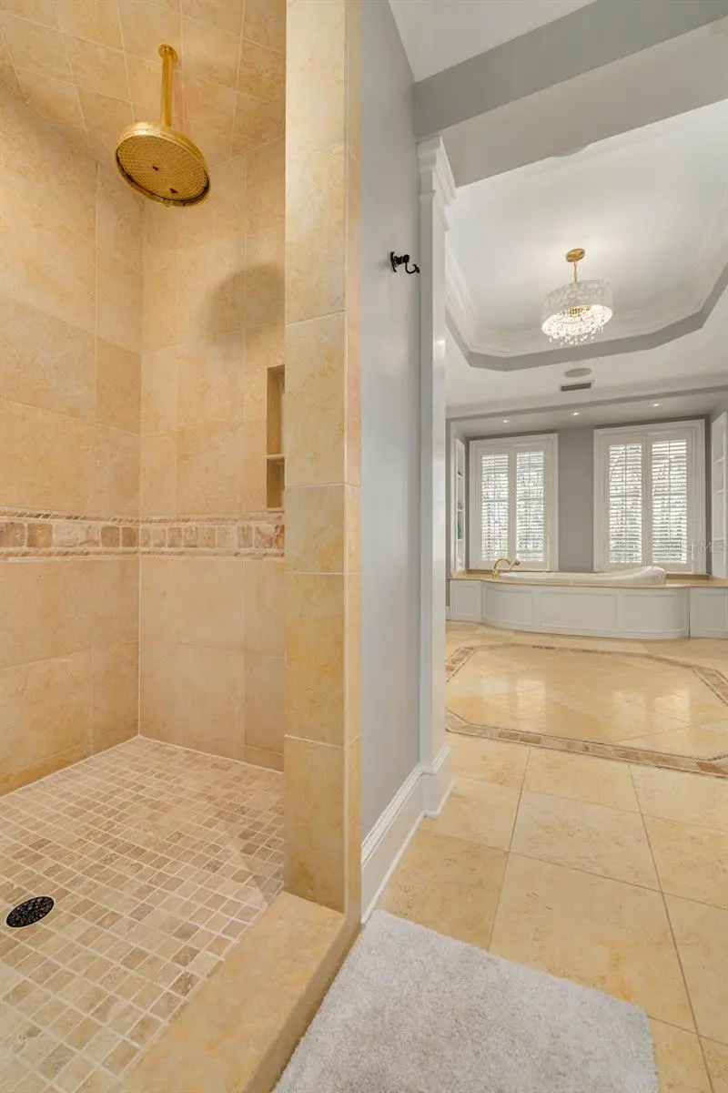 16203 SENTRY WOODS COURT, ODESSA, FL, photo 60 of 90