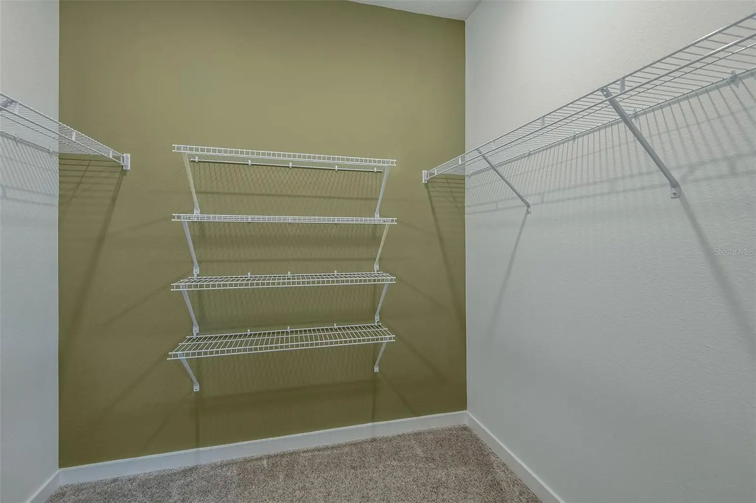 11134 SYCAMORE GLEN LOOP, THONOTOSASSA, FL, photo 13 of 19