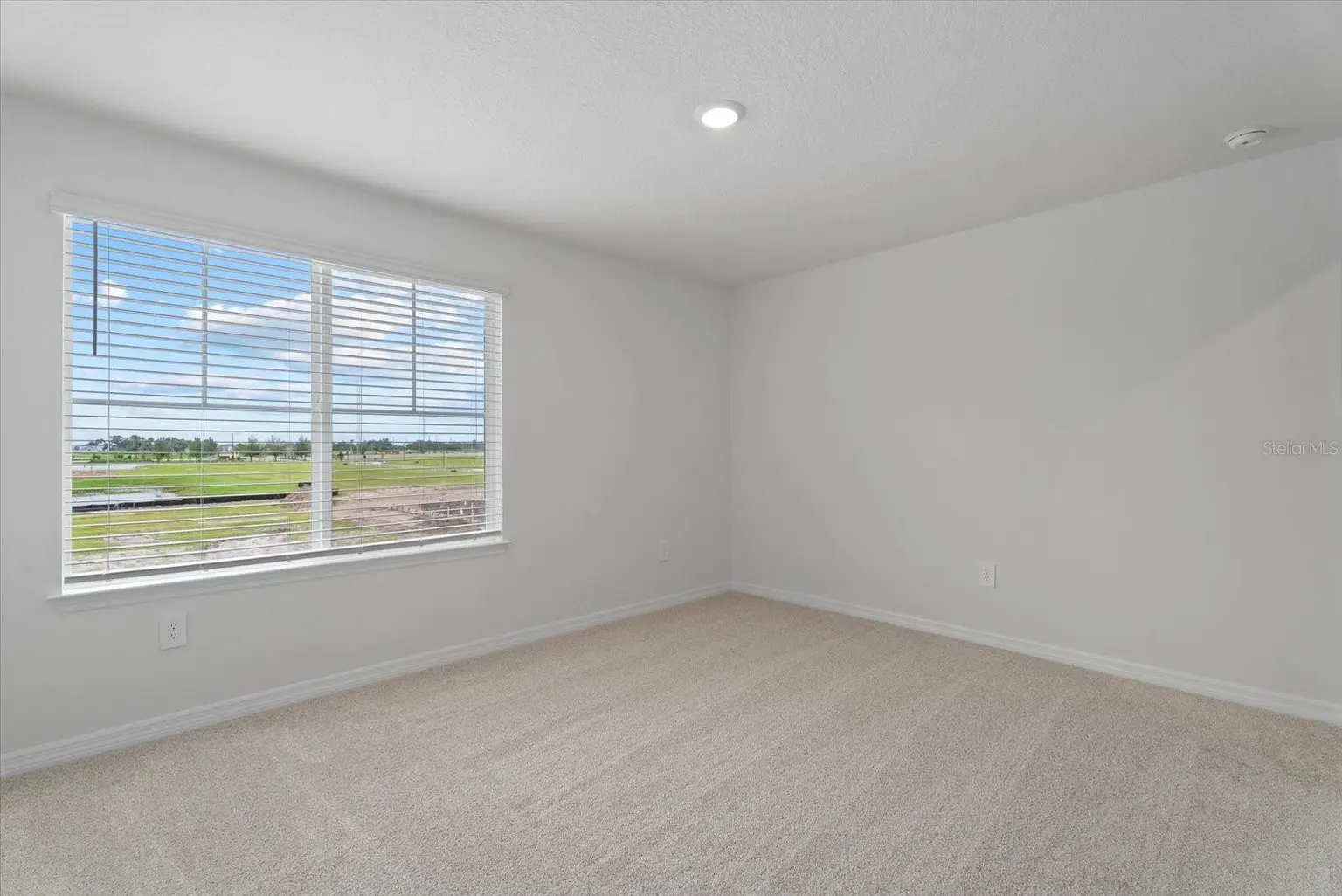10514 ABUNDANCE GROVE WAY, PARRISH, FL, photo 28 of 55