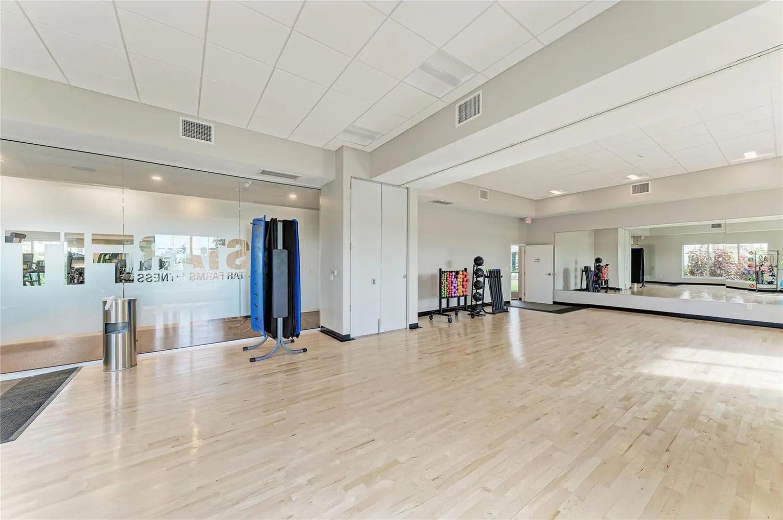 18211 THISTLEBERRY PLACE, LAKEWOOD RANCH, FL, photo 68 of 82