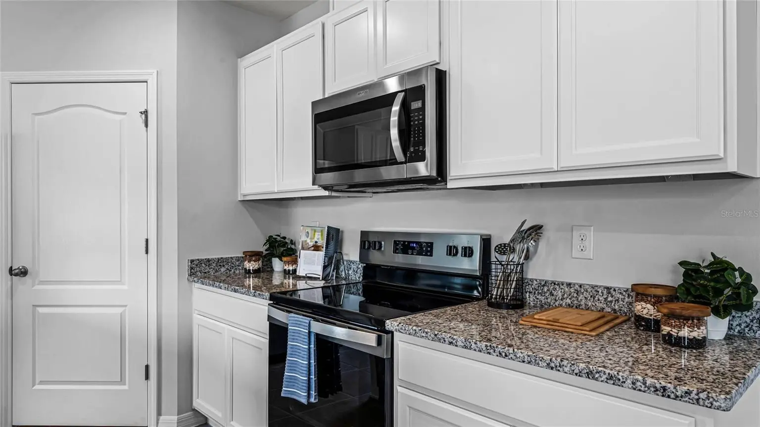 9777 BRAVE BUCK AVENUE, LAND O LAKES, FL, photo 9 of 25