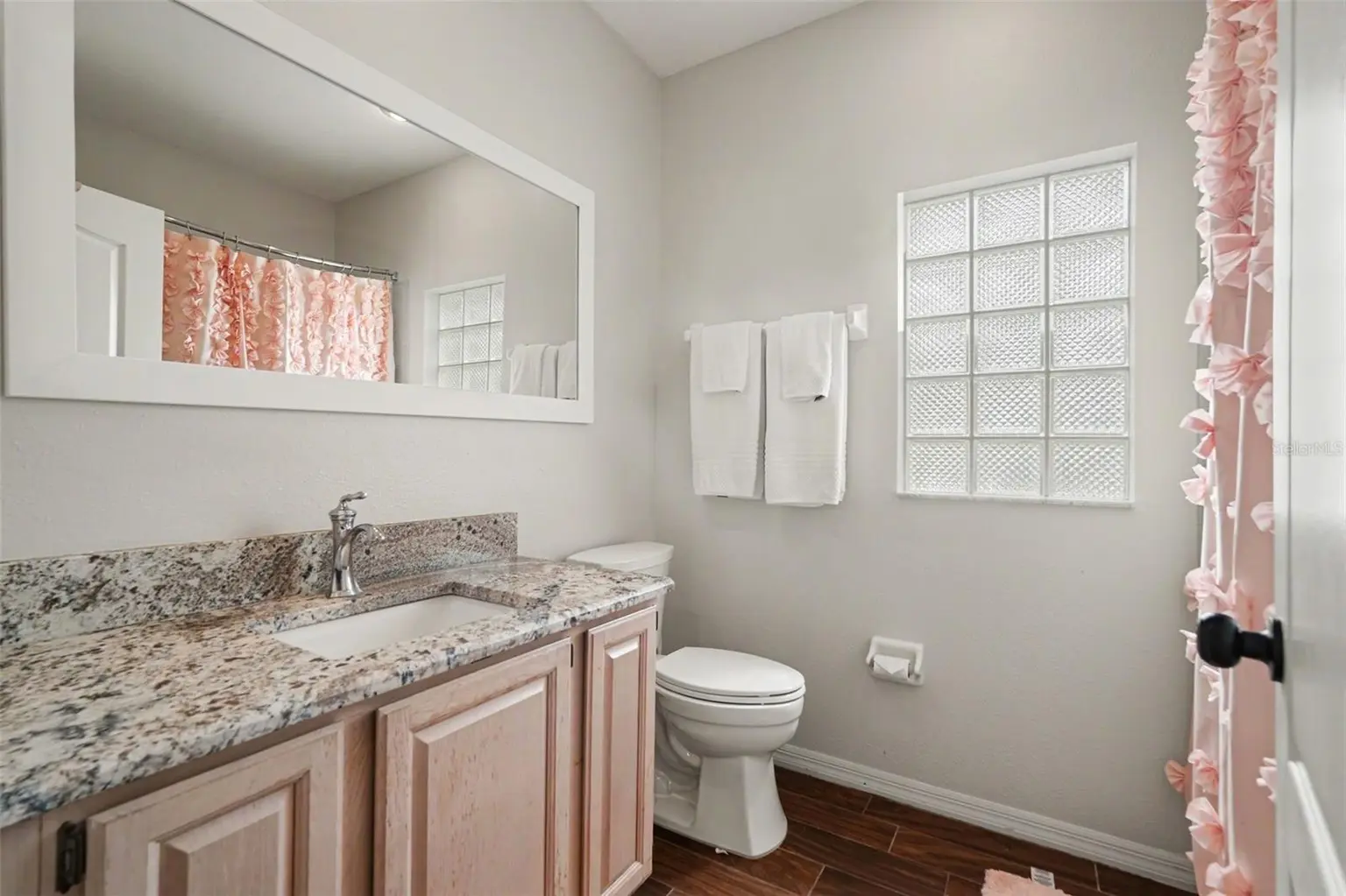 16809 WINDSOR PARK DRIVE, LUTZ, FL, photo 43 of 58
