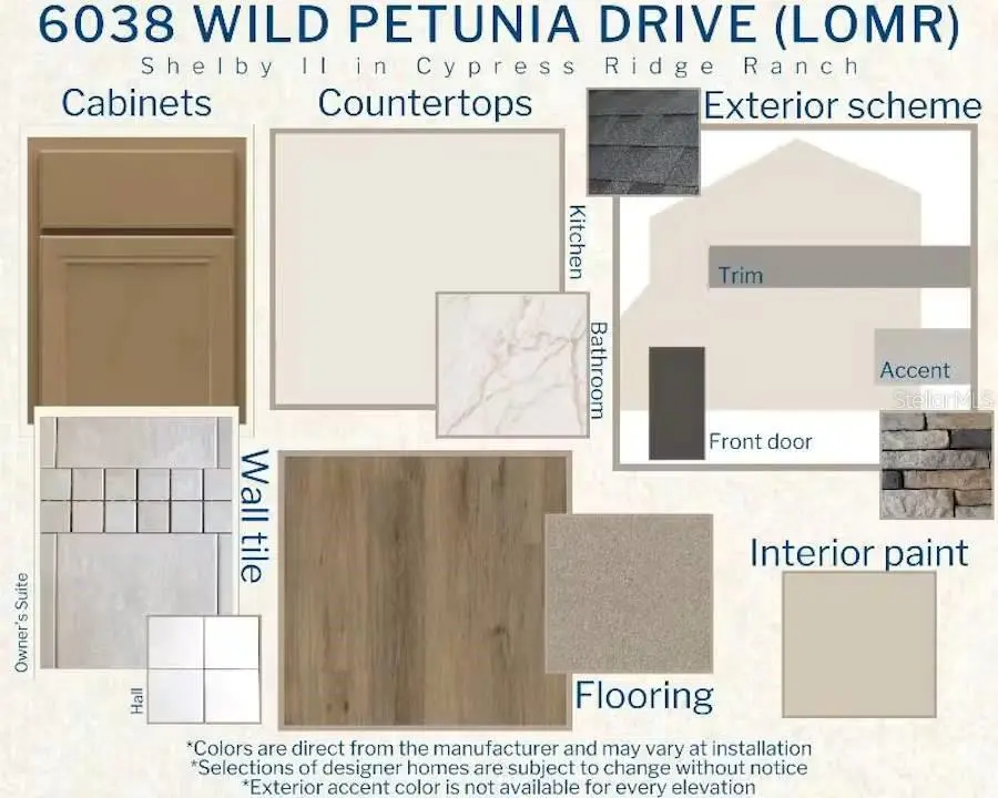 6038 WILD PETUNIA DRIVE, WIMAUMA, FL, photo 3 of 4