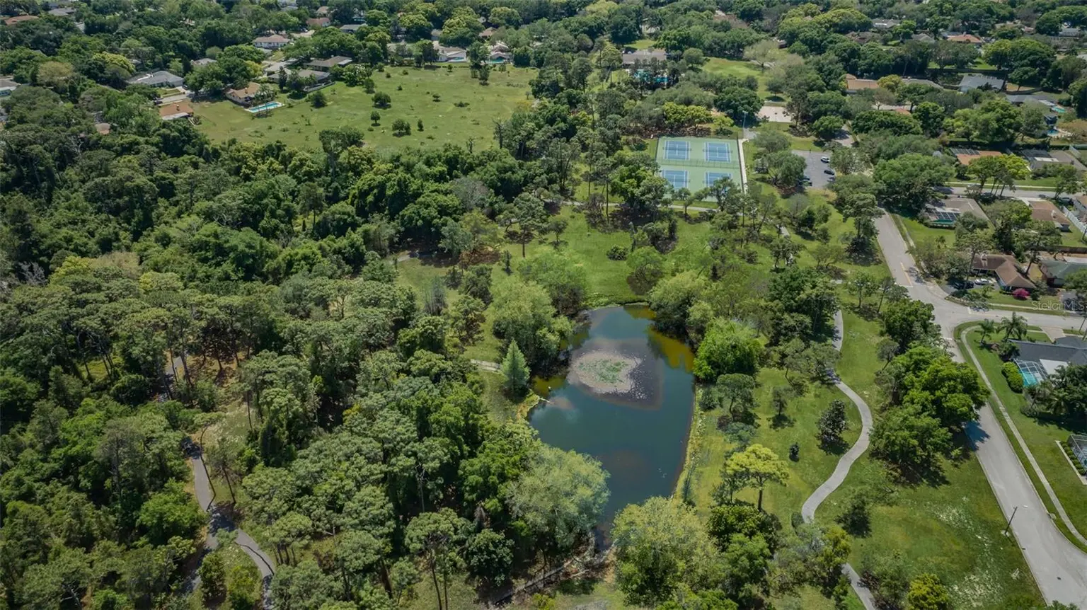 492 LAKEVIEW DRIVE #40, PALM HARBOR, FL, photo 68 of 81