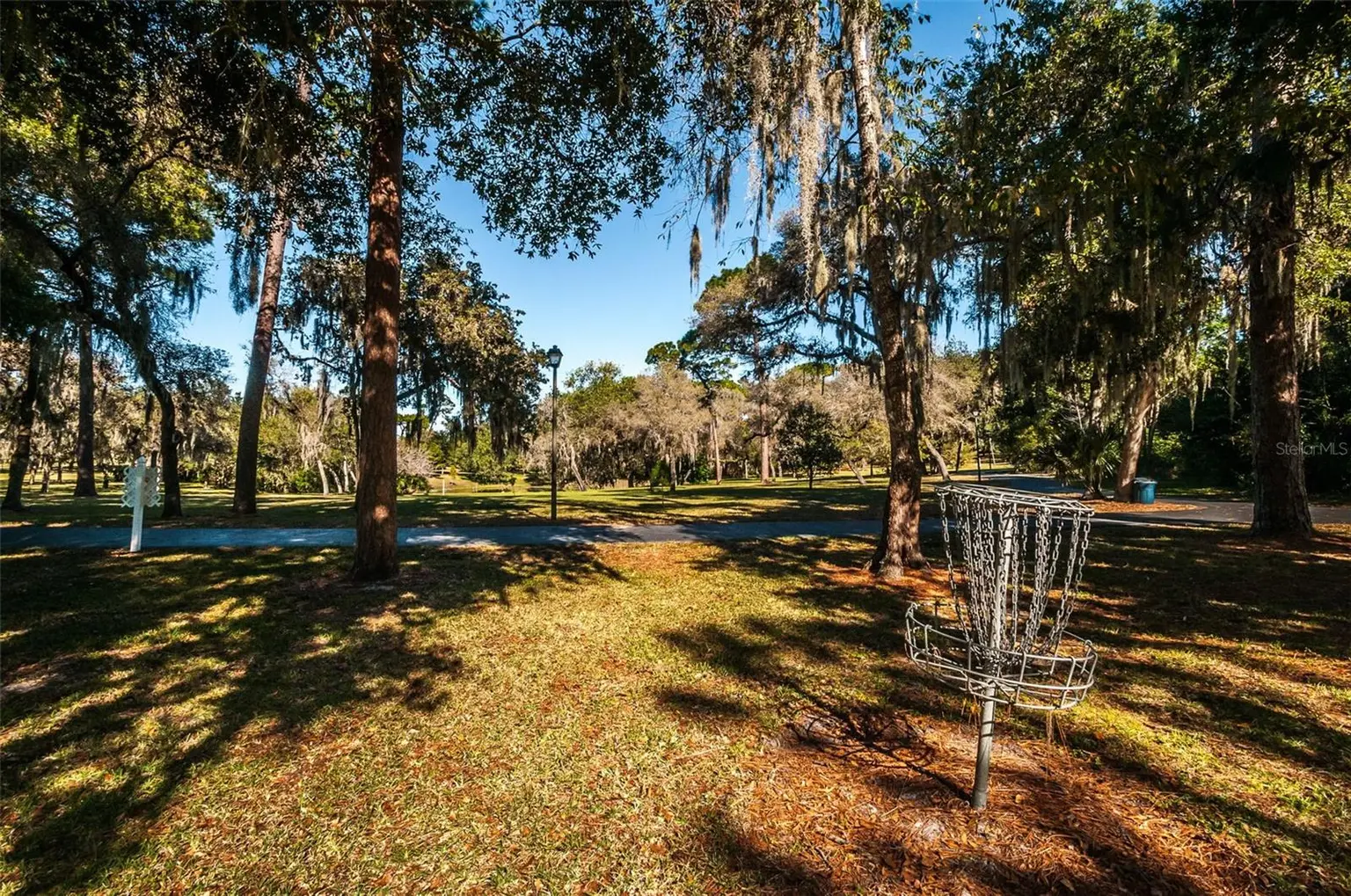 492 LAKEVIEW DRIVE #40, PALM HARBOR, FL, photo 73 of 81