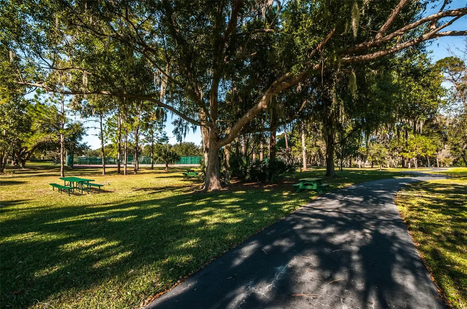 492 LAKEVIEW DRIVE #40, PALM HARBOR, FL, photo 76 of 81
