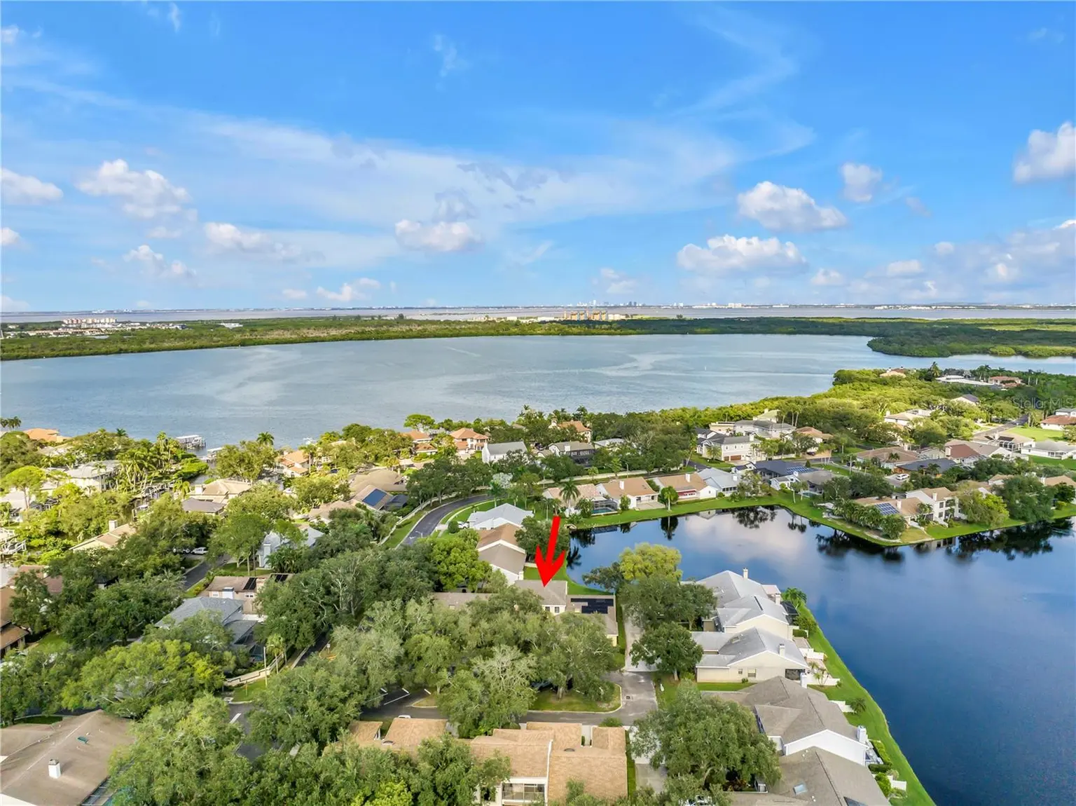 868 GLADES COURT NE, ST PETERSBURG, FL, photo 39 of 53