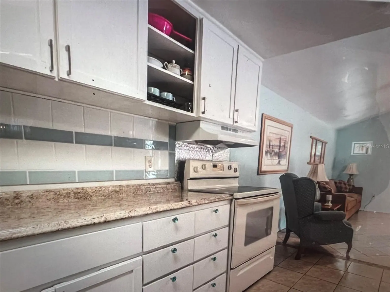 520 GEORGE STREET S, TARPON SPRINGS, FL, photo 25 of 28